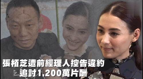 吃瓜娱乐奇葩,揭秘奇葩事件背后的真相与笑料